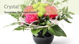  Presentation with flowers vase - PPT theme featuring red roses vase of flowers isolated on white background great decoration for your interior background and a soft green colored foreground