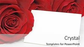  Presentation with note - Theme with red roses with a blank background and a  colored foreground