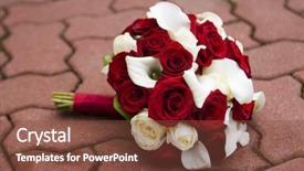  Presentation with calla lily - Beautiful presentation design featuring red roses with calla backdrop and a tawny brown colored foreground