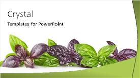  Presentation with green leaves - Presentation design having red-rubin-and-green-basil and a white colored foreground