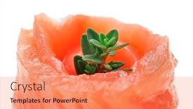  Presentation with thyme - Presentation theme having red salmon roll with thyme twig isolated on white background and a coral colored foreground