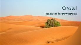  Presentation with emirates - Beautiful presentation featuring red sand arabian desert near backdrop and a sky blue colored foreground