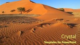  Presentation with thorn - Slide set featuring red-sand-dune-with-stone background and a tawny brown colored foreground