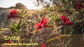  Presentation with los angeles - Audience pleasing PPT theme consisting of red santa susana monkey flower backdrop and a tawny brown colored foreground