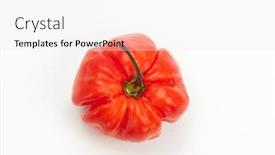  Presentation with scotch - Colorful slides enhanced with red-scotch-bonnet-chili-pepper backdrop and a sky blue colored foreground