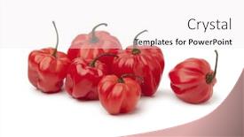  Presentation with scotch - Audience pleasing slide deck consisting of red scotch bonnet chili peppers isolated on white background backdrop and a white colored foreground