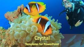  Presentation with scuba diving - Presentation theme consisting of red sea - clownfish and scuba diver background and a tawny brown colored foreground