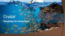  Presentation with sponges - Audience pleasing theme consisting of red sea - colorful underwater offshore rocky reef backdrop and a ocean colored foreground