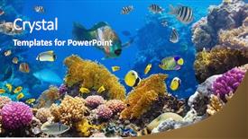  Presentation with coral reef - Colorful PPT layouts enhanced with sad young fashion woman with shopping bags sitting on a sidewalk backdrop and a gray colored foreground