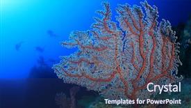  Presentation with divers - PPT theme having red sea - scuba divers exploring coral reef background and a ocean colored foreground