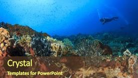  Presentation with woman praying over bible - Amazing presentation theme having red sea - woman scuba dives over coral backdrop and a tawny brown colored foreground