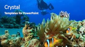  Presentation with divers - Presentation theme having red sea anemonefish and pair background and a cobalt blue colored foreground