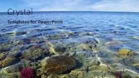  Presentation with clean water - Colorful slides enhanced with red-sea-coral-reef backdrop and a light blue colored foreground