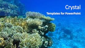  Presentation with sea coral - Beautiful PPT theme featuring red sea coral reef backdrop and a cobalt blue colored foreground