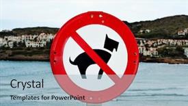  Presentation with sad dog abandoned dogs - Cool new slides with red sea information - no dogs allowed traffic sign backdrop and a light blue colored foreground