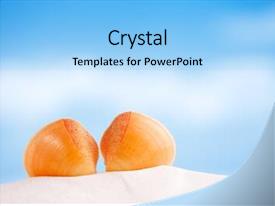 Ocean Design Powerpoint Shells Premium Template for PowerPoint & Google Slides (jhuluploh)