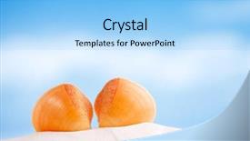  Presentation with sea shell - Cool new PPT layouts with red sea shell with ocean beach and seascape shallow dof backdrop and a light blue colored foreground