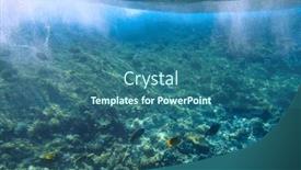  Presentation with underwater wild nature sea life - PPT theme featuring red-sea-underwater-scenery and a ocean colored foreground