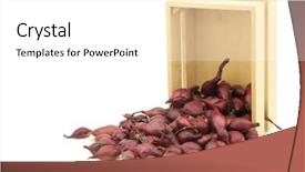  Presentation with seed - Beautiful slide set featuring red seed onions in a wooden box on a white background backdrop and a white colored foreground