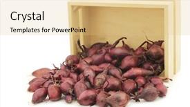  Presentation with seed - Colorful presentation theme enhanced with red seed onions in a wooden box on a white background backdrop and a lemonade colored foreground