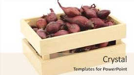  Presentation with seed - Presentation design enhanced with red seed onions in a wooden box on a white background background and a lemonade colored foreground