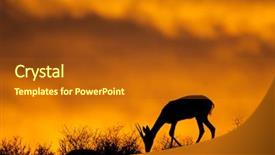  Presentation with kalahari - PPT theme enhanced with red sky kalahari desert background and a crimson colored foreground