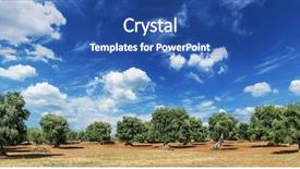  Presentation with soil red - Presentation having red soil and olive tree background and a ocean colored foreground