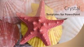  Presentation with seashell - Presentation design consisting of red starfish and colored seashell background and a coral colored foreground