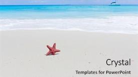  Presentation with star red - Amazing theme having red starfish fallen star backdrop and a light gray colored foreground