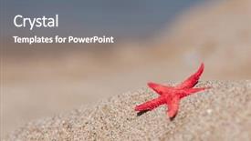  Presentation with starfish - Cool new presentation theme with red starfish in sand on a empty beach backdrop and a gray colored foreground