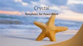  Presentation with sand ocean - Cool new slides with red-starfish-on-sand-beach backdrop and a light blue colored foreground