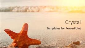  Presentation with starfish - Presentation having red starfish on sand close up background and a lemonade colored foreground
