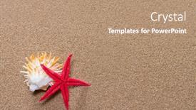  Presentation with starfish - PPT layouts enhanced with red-starfish-on-the-sandy and a coral colored foreground