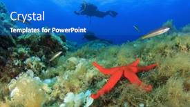  Presentation with divers - Audience pleasing presentation theme consisting of red starfish underwater and scuba divers backdrop and a cobalt blue colored foreground