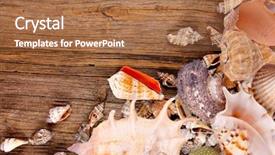  Presentation with shells stars - Slide deck having red stars backgoiunds - sea shells on wooden background background and a coral colored foreground