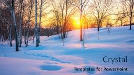  Presentation with winter forest - PPT theme consisting of red sunset in frozen winter forest background and a light blue colored foreground