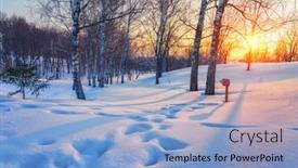  Presentation with forest winter - Colorful presentation theme enhanced with red-sunset-in-frozen-winter backdrop and a light blue colored foreground