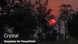  Presentation with tropical forest - PPT layouts consisting of red-sunset-in-tropical-forest background and a black colored foreground