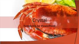  Presentation with restaurant menu - Amazing theme having carapace - red tasty boiled crab backdrop and a red colored foreground