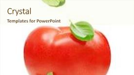  Presentation with leaves falling - Amazing presentation theme having red tomato and basil leaves spice falling down isolated on white background backdrop and a soft green colored foreground