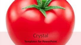  Presentation with tomato ketchup single red - Presentation featuring red-tomato-isolated-on-white background and a  colored foreground