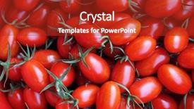  Presentation with tomato plant - Beautiful slides featuring red tomatoes background group backdrop and a crimson colored foreground