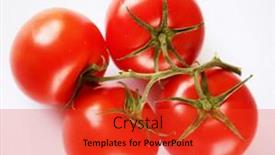  Presentation with white green - Presentation theme with red-tomatoes-on-a-green background and a red colored foreground