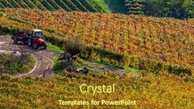  Presentation with tractor - Colorful presentation enhanced with red tractor among colorful autumnal vineyards on the hills of langhe in piedmont northern italy backdrop and a tawny brown colored foreground