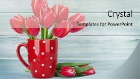  Presentation with blue tulip - Beautiful presentation featuring red tulip flowers bouquet backdrop and a light gray colored foreground