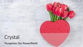  Presentation with heart flowers - Theme featuring red tulip flowers bouquet background and a white colored foreground