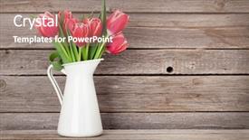  Presentation with tulips - Slide deck consisting of red tulips bouquet in front background and a coral colored foreground