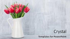  Presentation with tulips - Presentation design having red tulips bouquet in front background and a light gray colored foreground