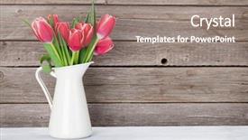  Presentation with tulips - Theme with red tulips bouquet in front background and a gray colored foreground