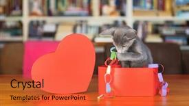  Presentation with kitten - Amazing theme having red valentine heart with kitten backdrop and a red colored foreground